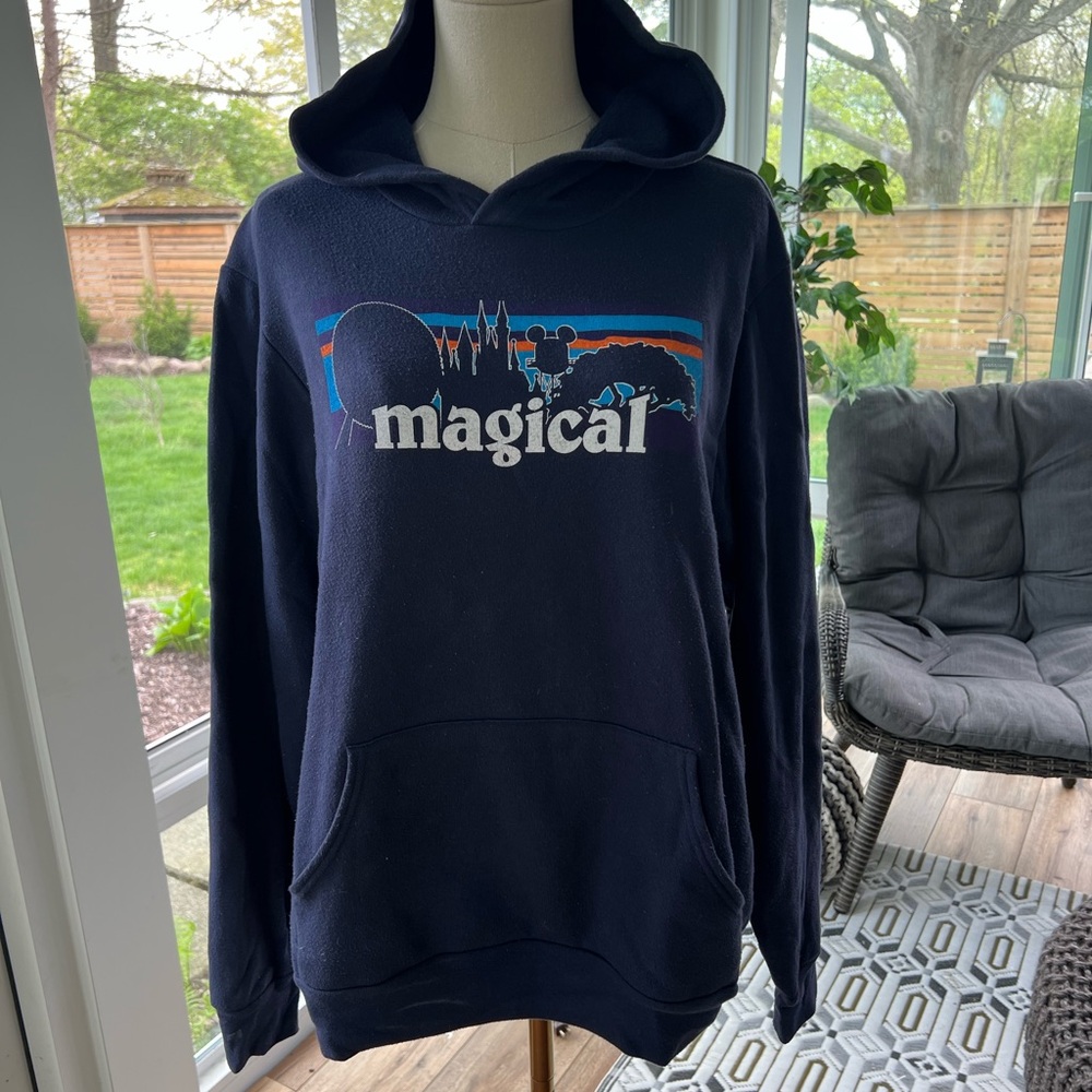 Magical Disney Hoodie